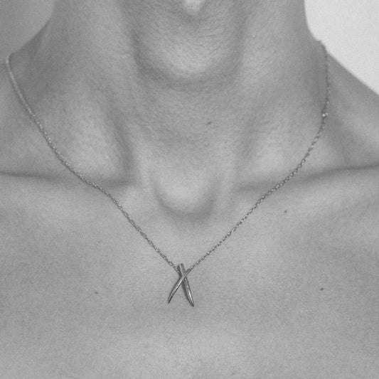 Colar Garras Mini - Prata 925