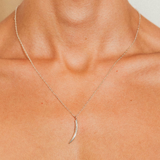 Colar Garras - Prata 925