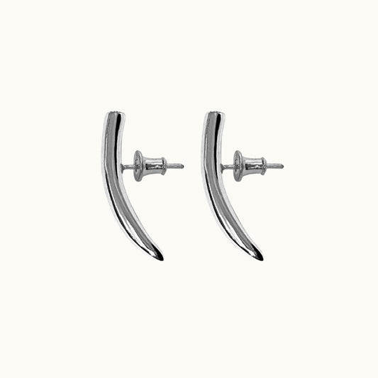 Par de Brincos Garras - Prata 925